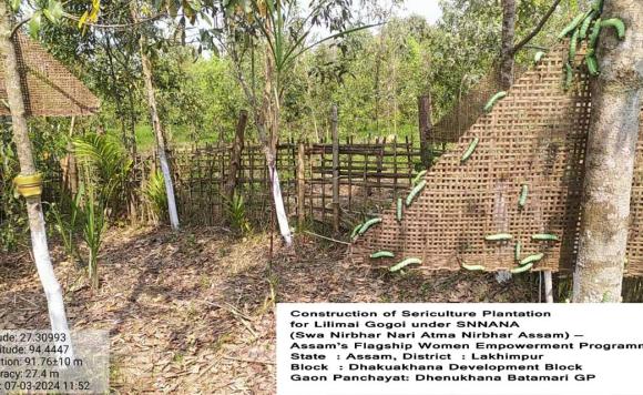 Construction of Sericulture Plantation